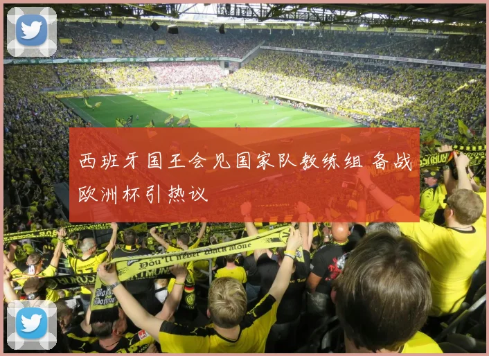 西班牙国王会见国家队教练组 备战欧洲杯引热议