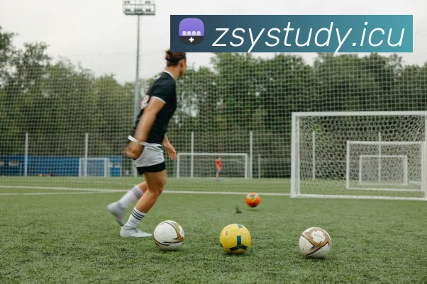 9游会官网首页服务体系